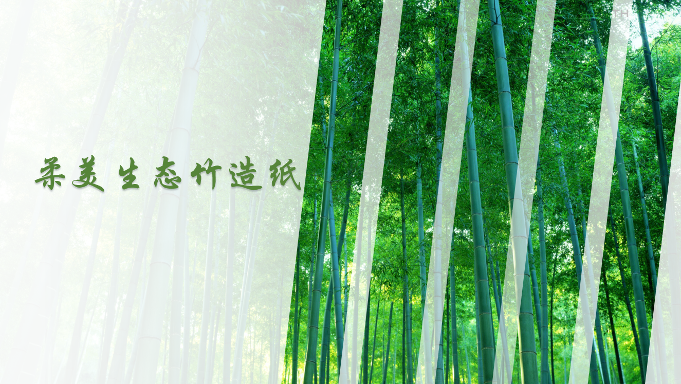 柔美生態(tài)竹造紙